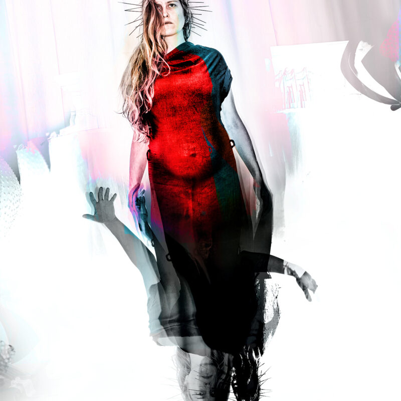 The Mother-to-be Warrior